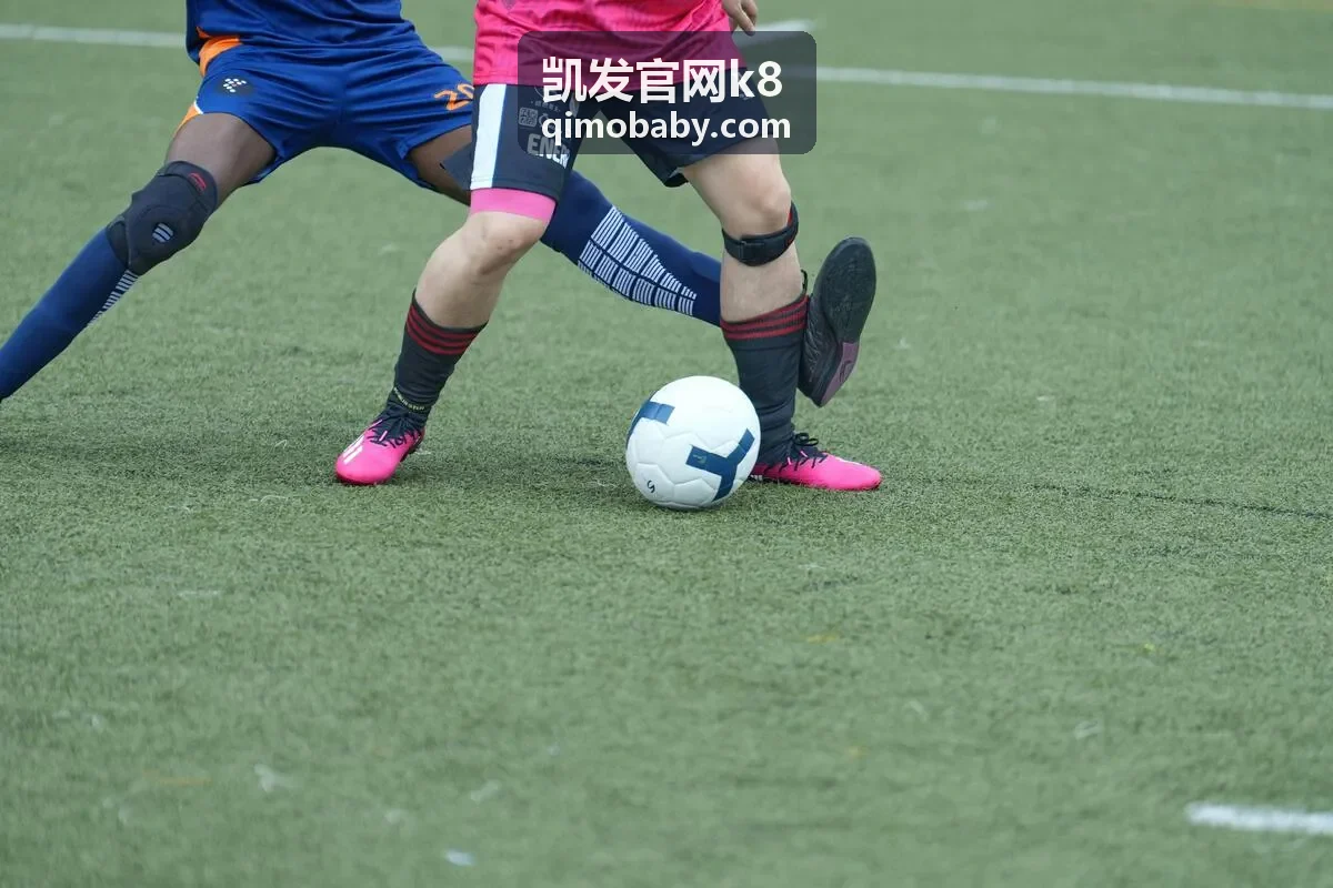 凯发官网k8活动现场主论坛画面